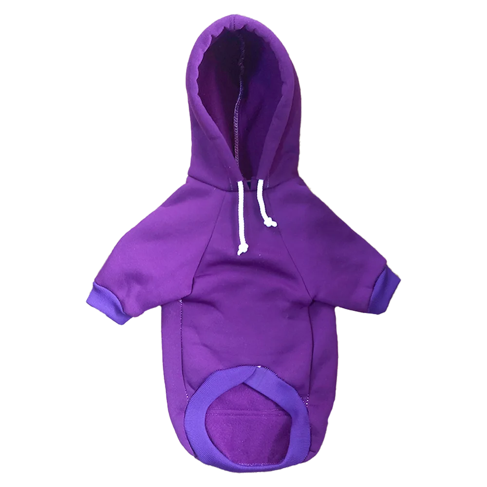 Imagen delantera de Buzo Morado prenda para perros.  