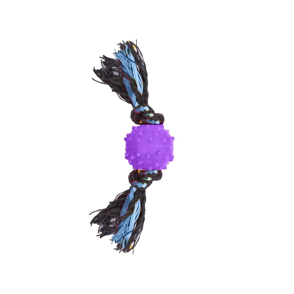 Imagen de Pelota Mini con Textura y Soga en color morado para perros cachorros minis y pequeños