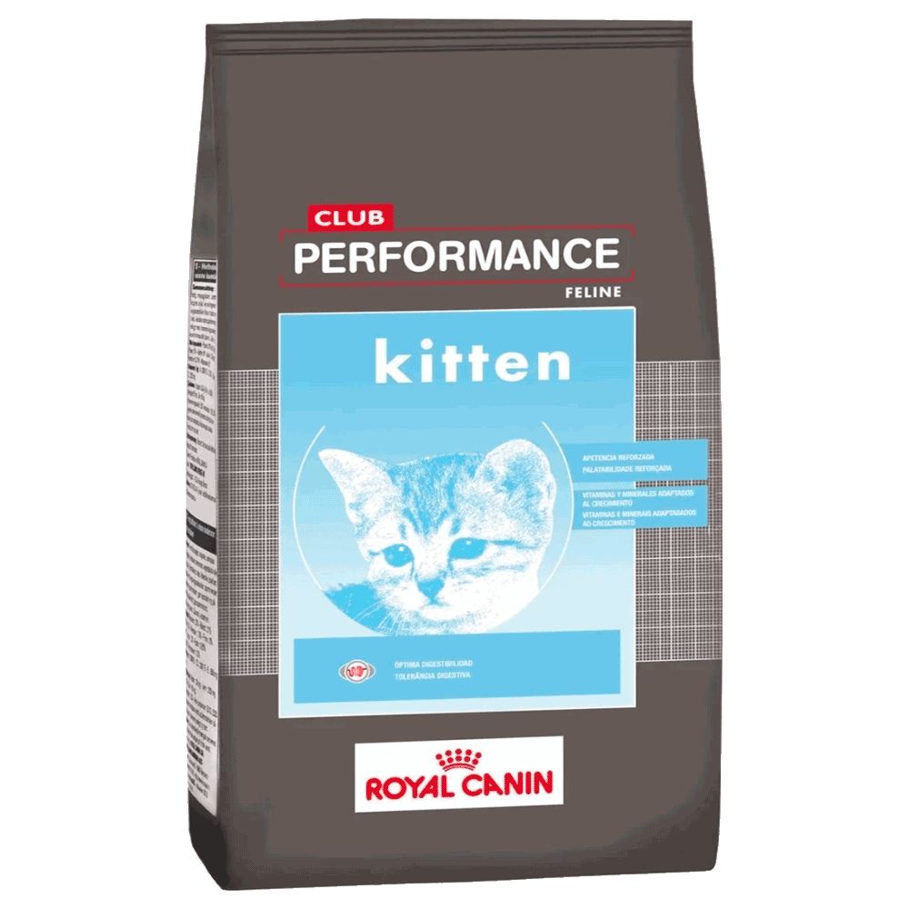 Bolsa marron con celeste de alimento para gato Royal Canin Club Performance Cat Kitten