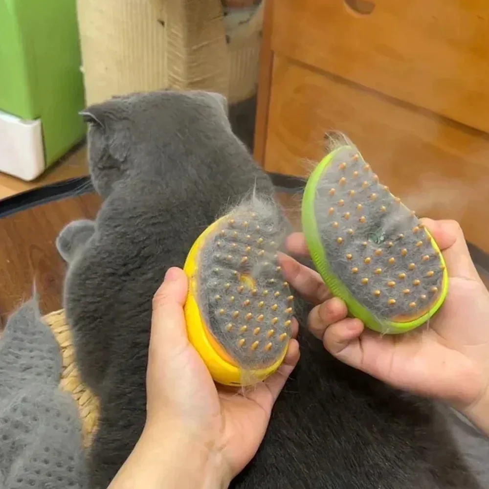 Gato gris de espaldas y dos manos sujetando dos Cepillos a Vapor cubiertos en pelo gris mostrando la eficiencia del cepillo