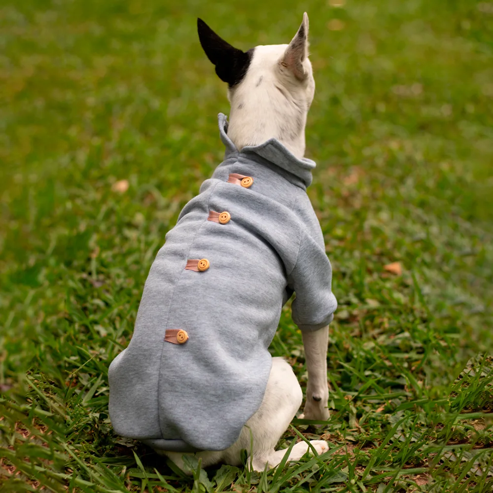 Imagen de perro usando Chompa Gris para perros y gatos, tiene botones color beige y cuello alto, mostrando los detalles de los botones