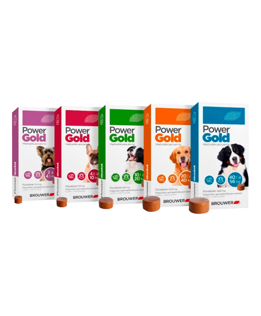 Imagen con todas las presentaciones del antiparasitario Power Gold, son cajas rectangulares en distintos colores y cada una tiene la pastilla masticable con el tamaño correspondiente.