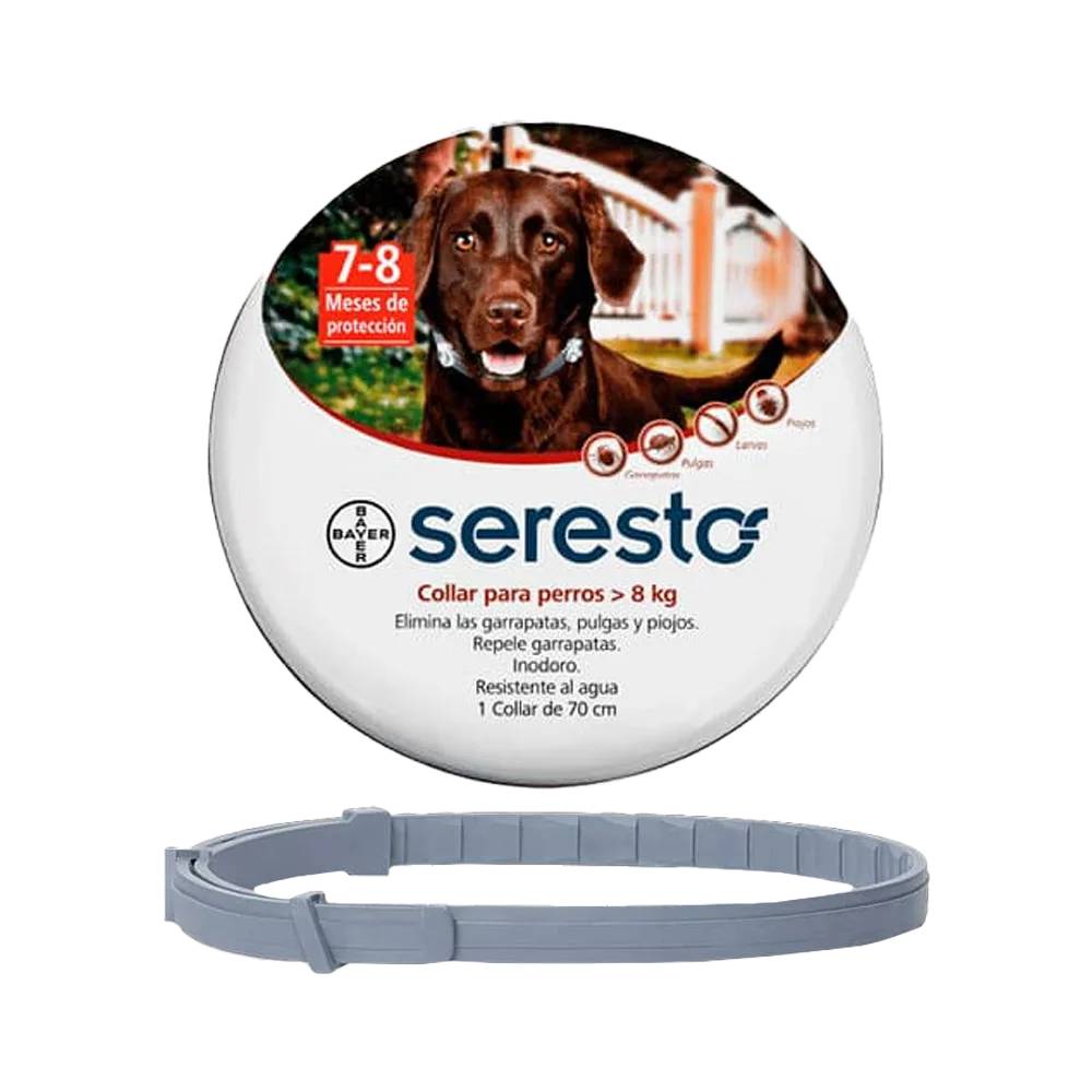 Lata blanca redonda de metal de frente con la foto de un perro labrador marrón y un collar de goma en frente de ella, es el Collar antiparasitario y repelente Seresto Perros de más de 8 kg