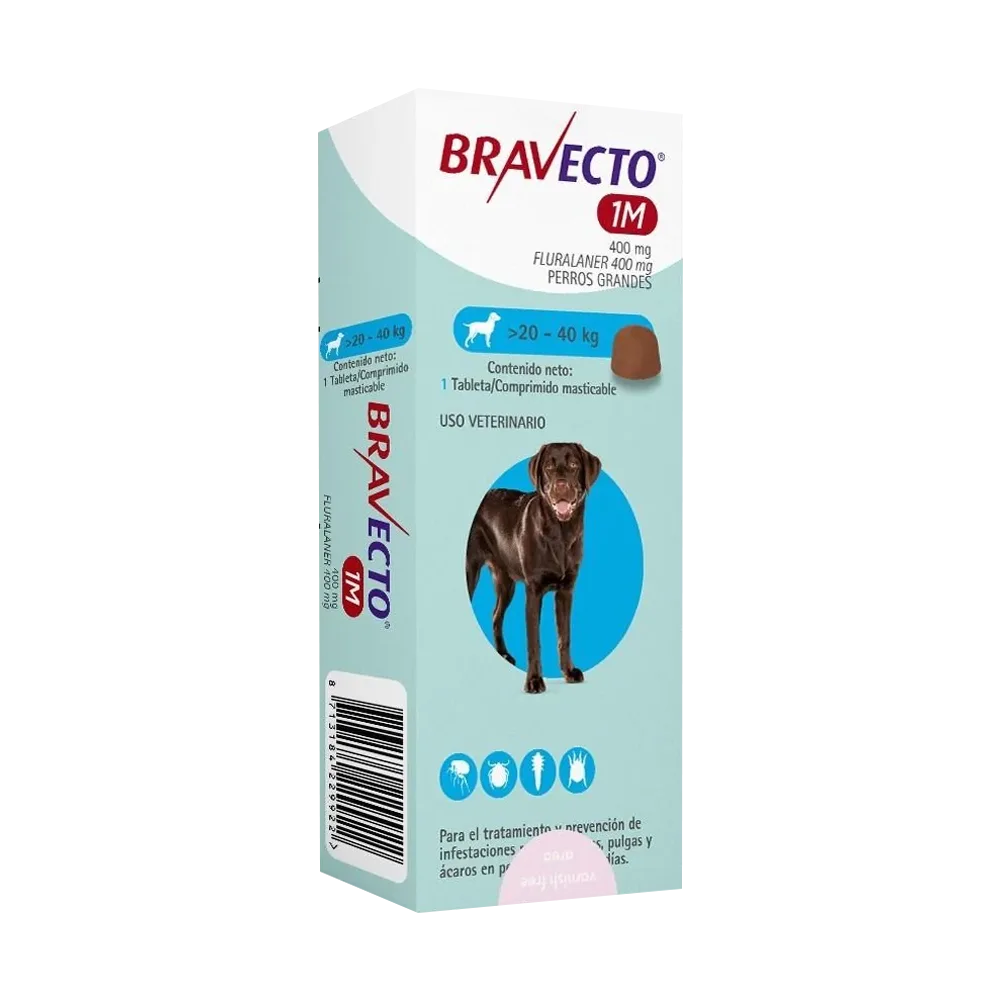 Caja rectangular color verde agua con detalles azules y un perro labrador marrón en la portada, es el antiparasitario Bravecto Perros 20 a 40 kg 1 mes