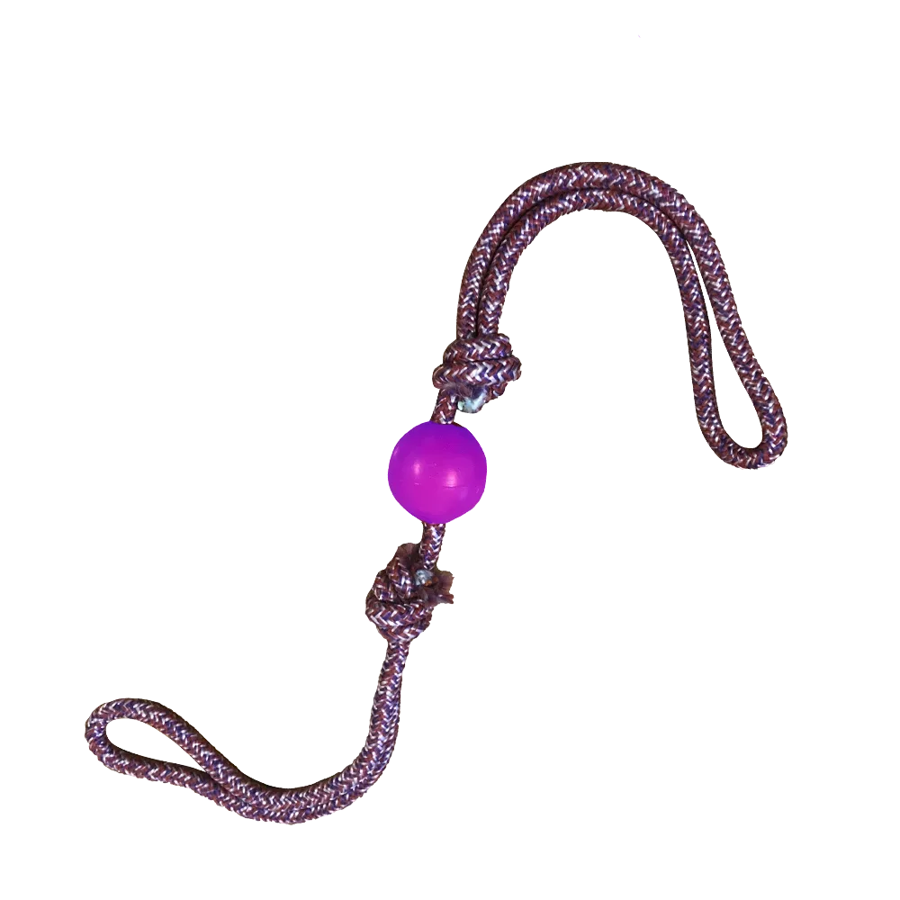 Imagen de Jalador Doble Nudo Con Pelota Pequeña para perros. Soga color azul y pelota color azul 
