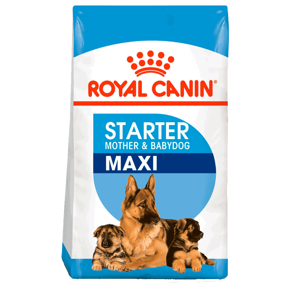 Bolsa celeste con blanco de Royal Canin Maxi Starter Mother & Babydog para cachorros de raza grande