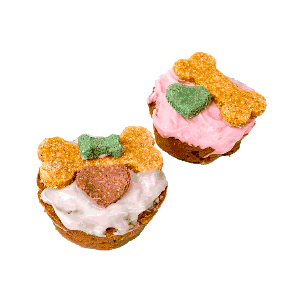 Lot De 90 Muffins Pour Chevaux PEEDEE Pets - Friandises Naturelles - Fabriqués à La Main En Écosse