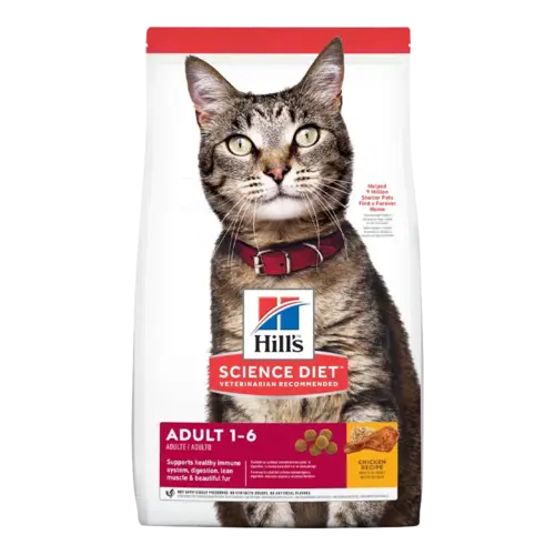 Bolsa blanca de alimento Hill's Feline Adult Chicken Recipe, es un alimento para gatos adultos de 1 a 6 años con sabor a pollo, la bolsa es blanca con detalles rojos y un gato en medio tabby atigrado con detalles grises y marrones y un collar rojo