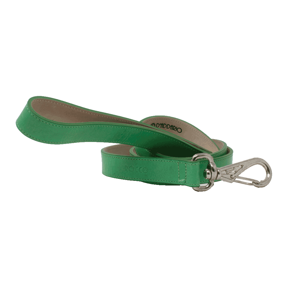 Correa para perro D'Addario Rocco color verde primavera de talla pequeña