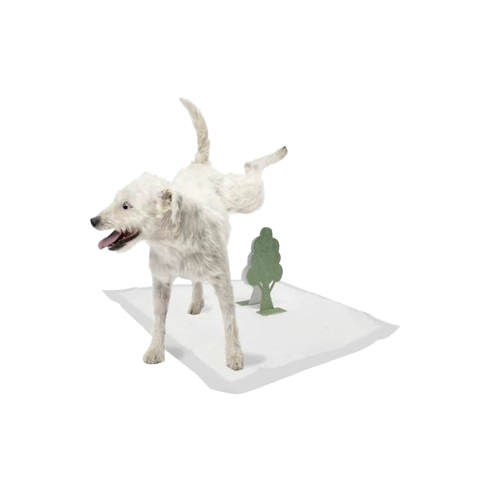 Perro haciendo pipi sobre tapete y arbol de entrenamiento de m-pets