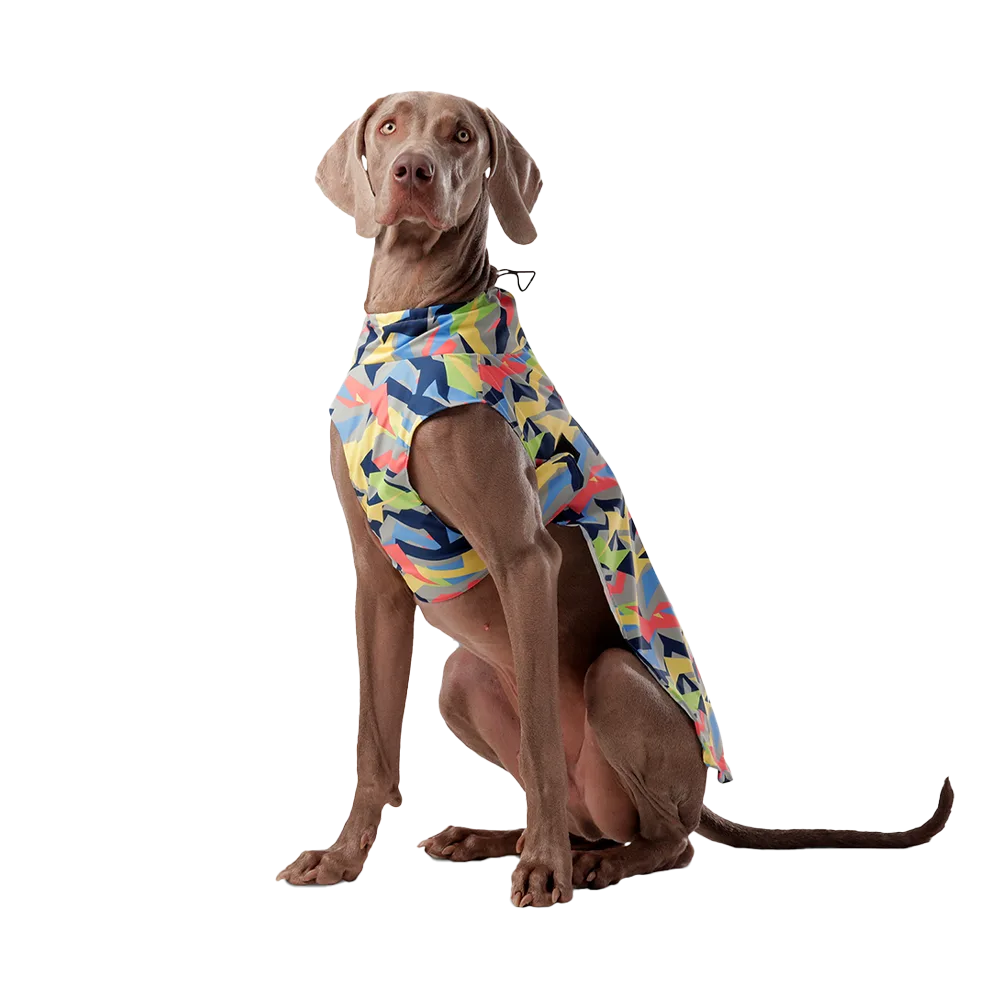 Imagen de perro waymaraner color marrón vistiendo el impermeable Capa de Lluvia de Totto Pets, es de un patrón geométrico de colores múltiples como azul, amarillo rojo y celeste