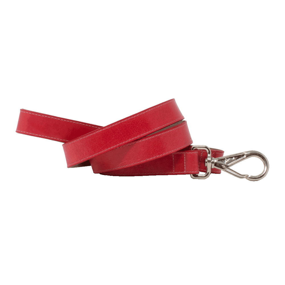 Correa para perro D'Addario Rocco color rojo de talla pequeña 