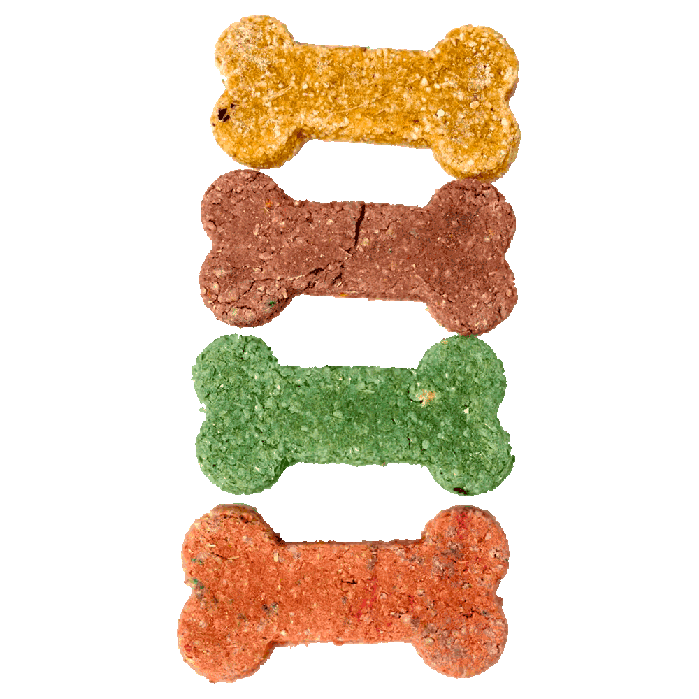 Imagen de Pack de Galletas Pet Bakery con forma de huesito y colores marrón, verde, naranja y amarillo