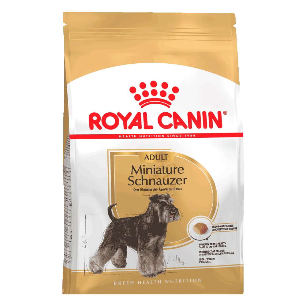  Bolsa blanca y dorada de alimento Royal Canin Miniature Schnauzer Adult para perros schnauzer adultos