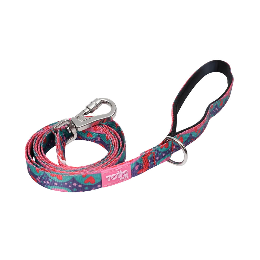 Correa para perros talla L modelo Odye de la marca Totto. Es de color rosa y azul con corazones rosados y puntos verdes