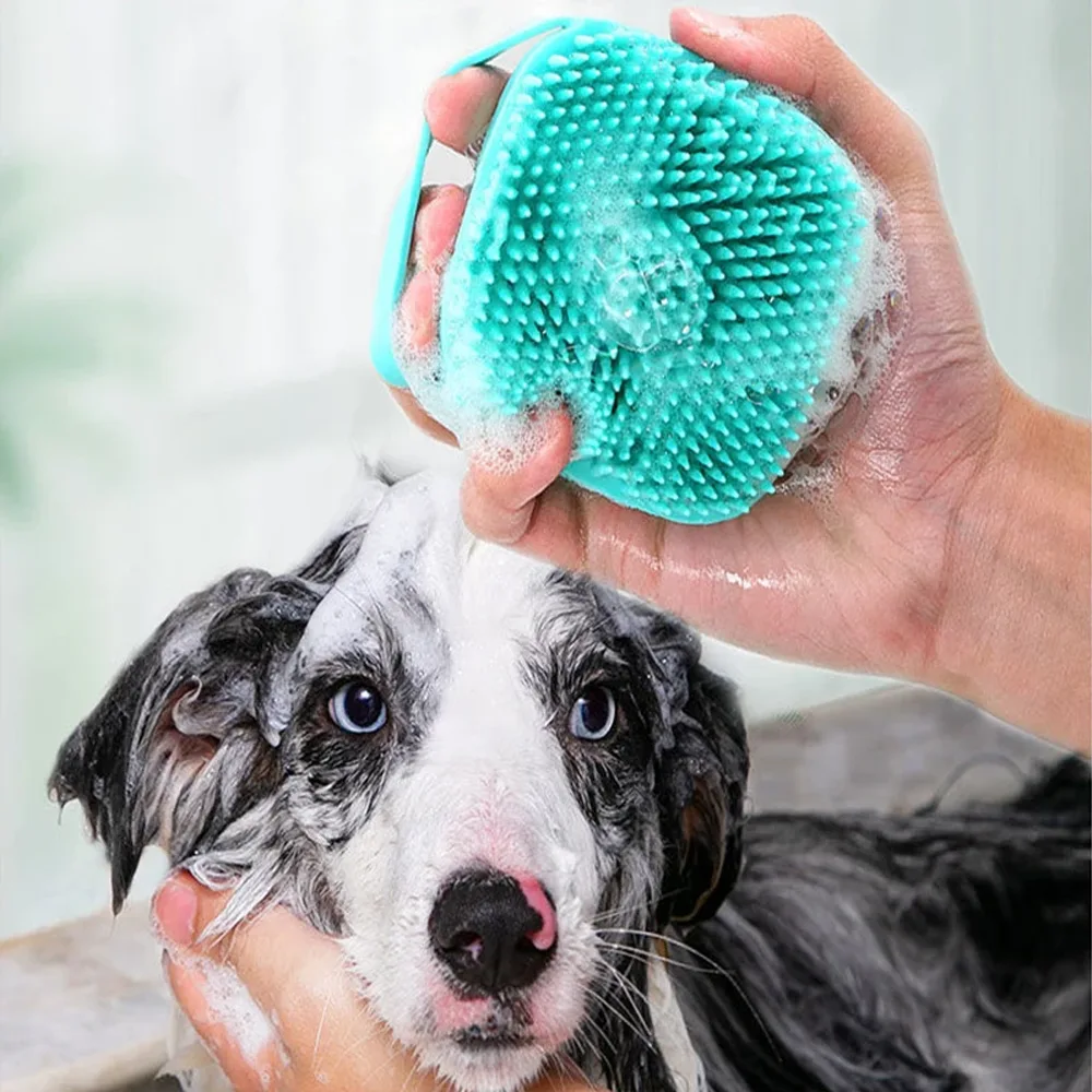 Perro de ojos azules y manto blanco con negro siendo bañado con un Cepillo Para Baño de silicona color calipso