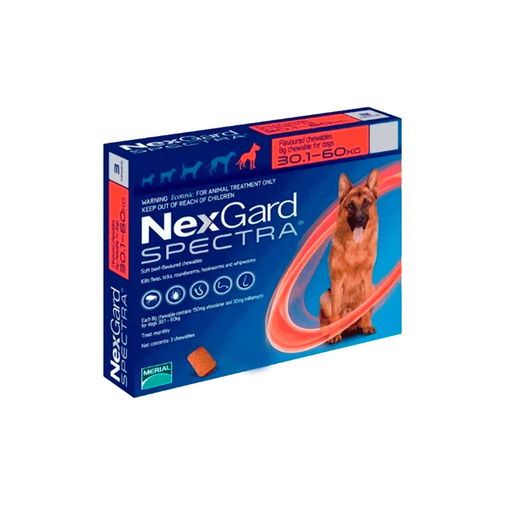 Caja pequeña color azul con detalles en color rojo de Nexgard Spectra de 30,1 a 60 kg para combatir parásitos internos y externos en tableta