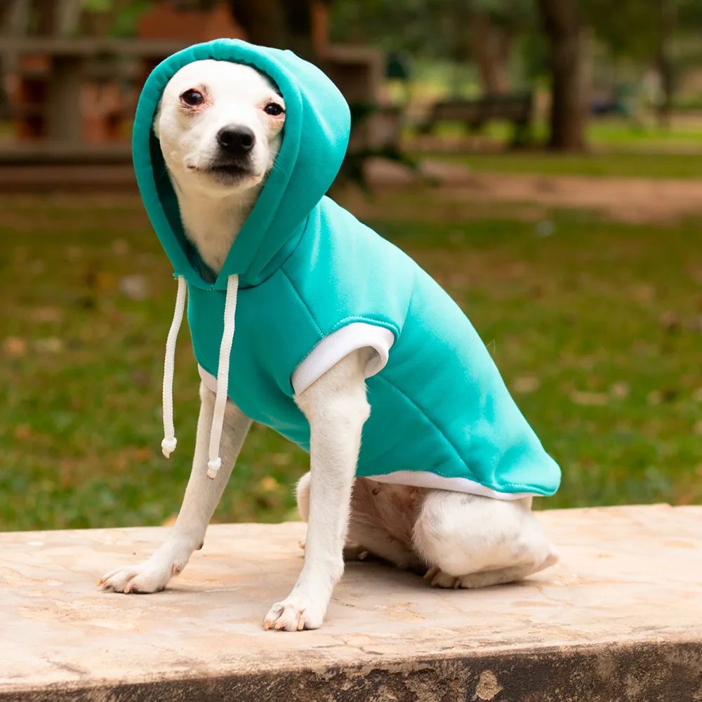 Imagen de perro usando el Buzo Calipso Sin Mangas, una prenda abrigada para perros y gatos con detalles blancos en los puños y chulo