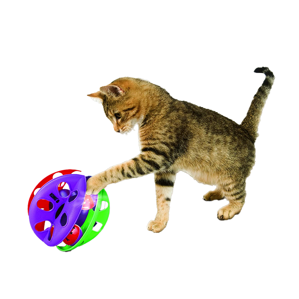 Gato jugando con el Juguete Criss Cross Kong para gatos color morado y rojo con pelotas interiores