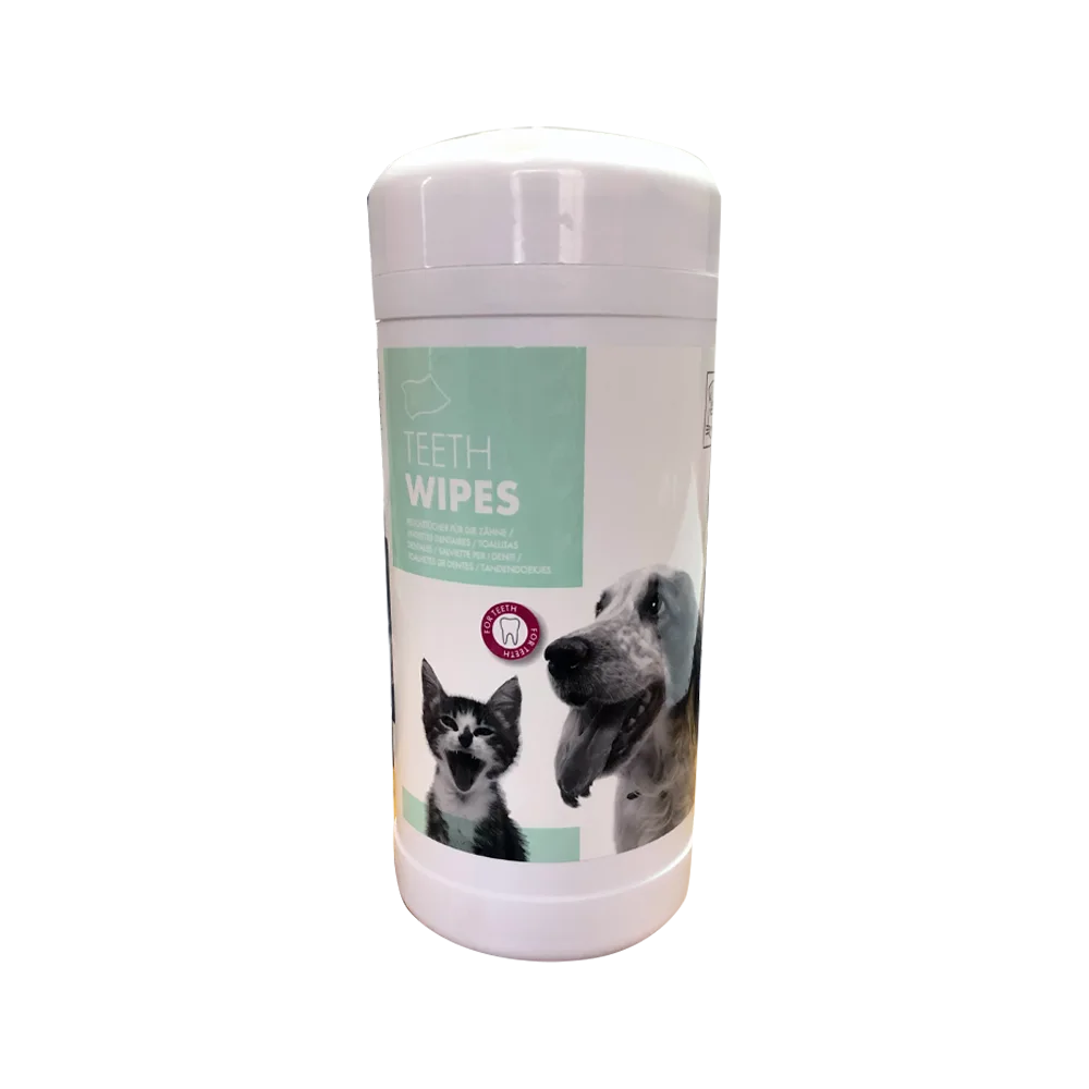 Bote blanco con detalles verde agua de Paños Húmedos Dentales M-Pets, tiene la imagen de un perro y un gato en tonos blanco y negro.
