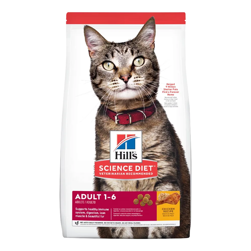 Bolsa blanca de alimento Hill's Feline Adult Chicken Recipe, es un alimento para gatos adultos de 1 a 6 años con sabor a pollo, la bolsa es blanca con detalles rojos y un gato en medio tabby atigrado con detalles grises y marrones y un collar rojo