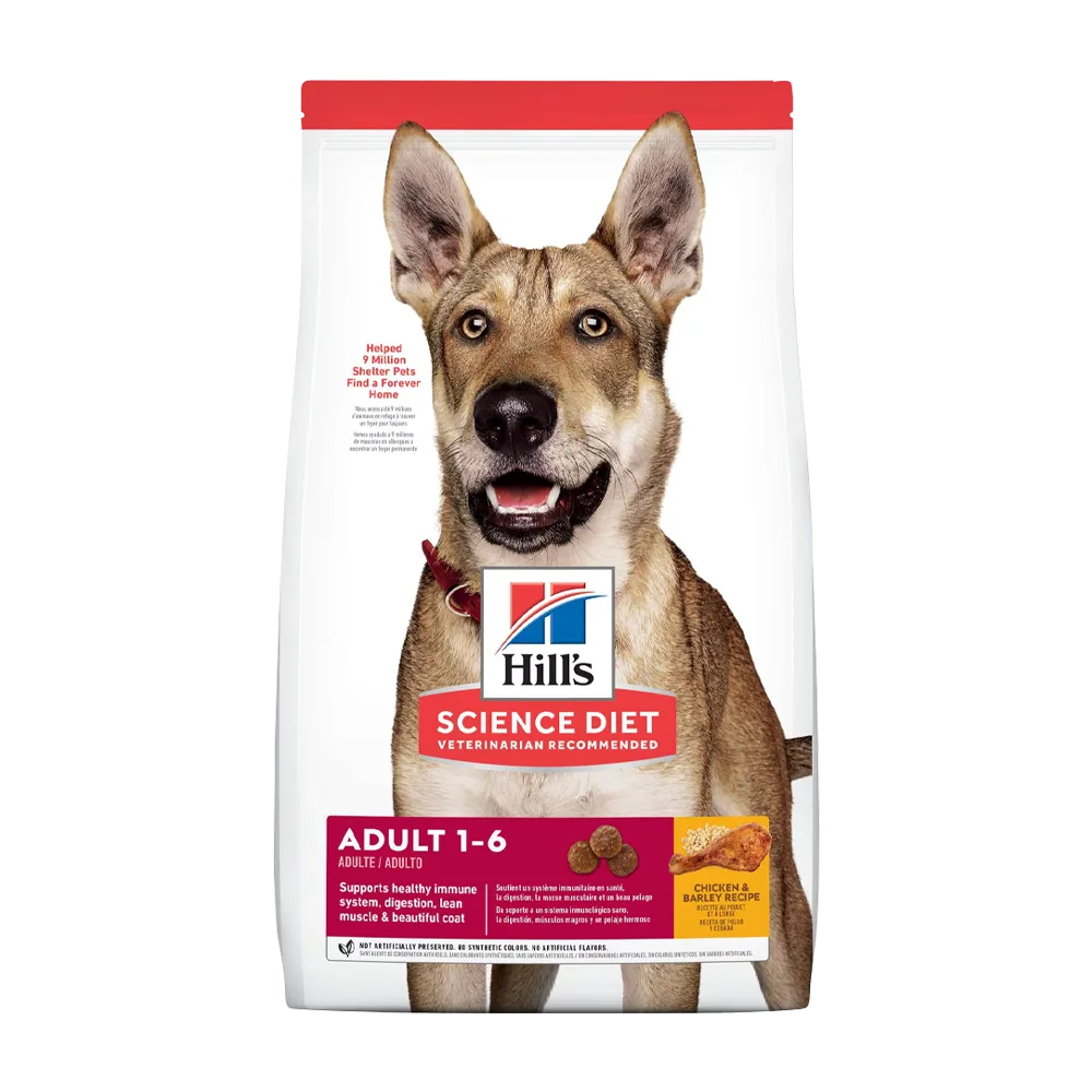 Bolsa blanca de alimento Hill's Science Diet Perro Adulto, es un alimento para perros de 1 a 6 años, la bolsa tiene una franja roja en la parte superior, detalles en color rojo oscuro y un perro de raza mediana con las orejas paradas y ojos color celeste en el centro.