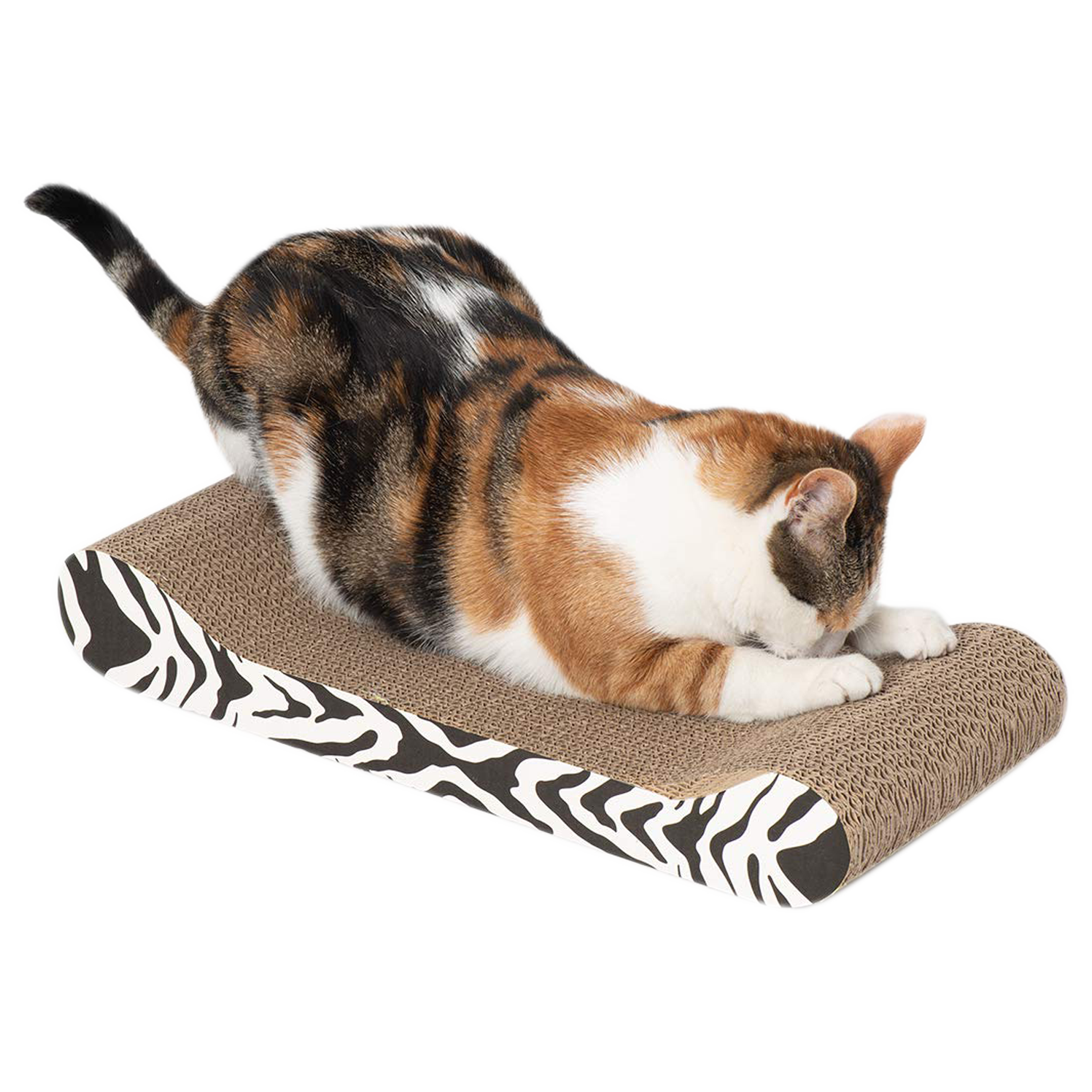 Gato rascando el rascador diván de Rascador Diván Catit Tigre Blanco y Negro 