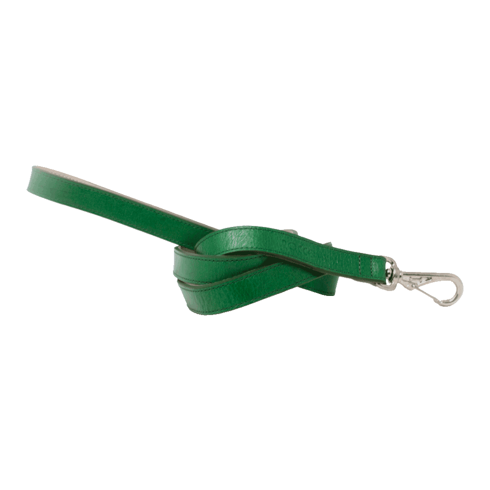 Correa para perro D'Addario Rocco color verde de talla pequeña  