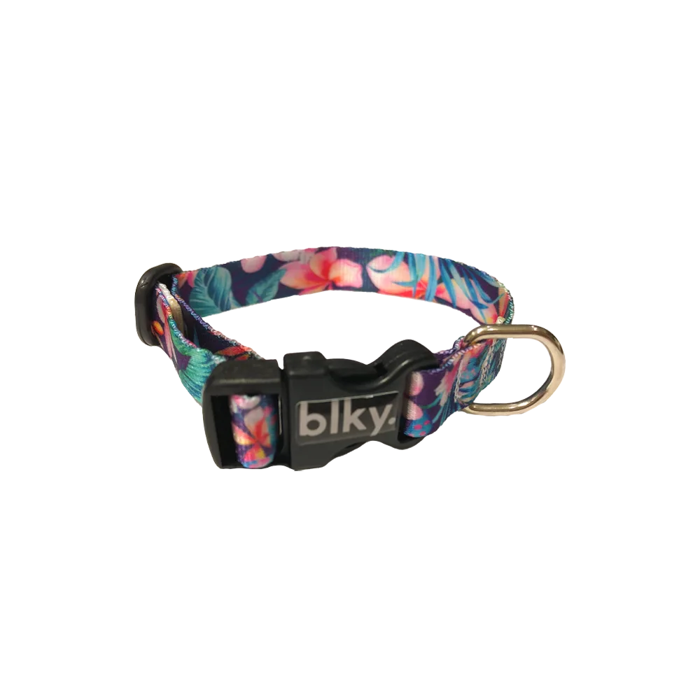 Collar Blky Talla XS con un estampado floreado con detalles rosados y azules, una hebilla plástica click negra y un aro de metal para colgar una placa