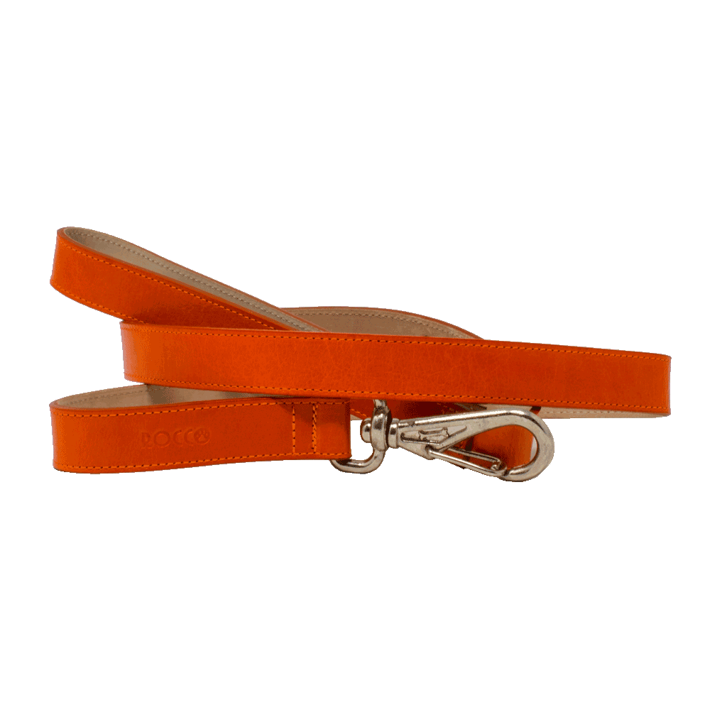 Correa para perro D'Addario Rocco color naranja de talla pequeña 