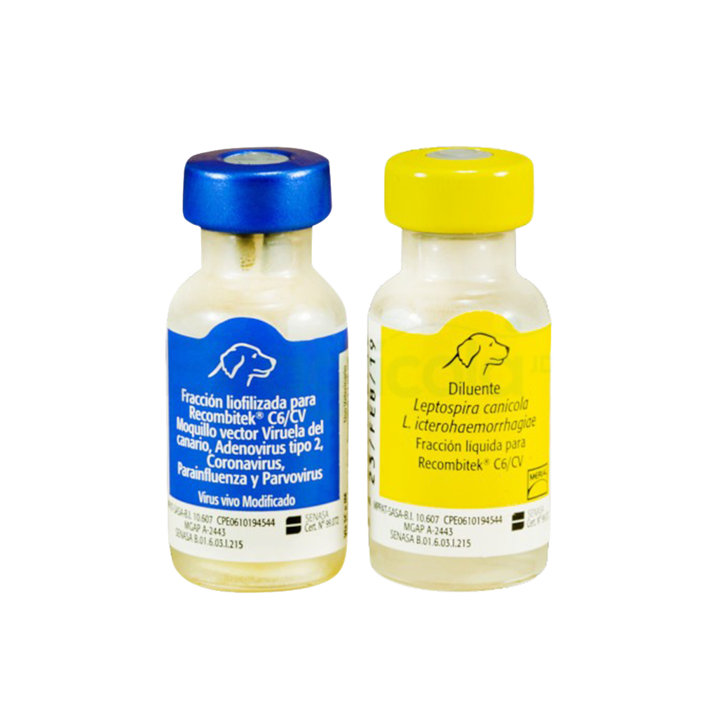 Botellas pequeñas de vidrio transparente con etiquetas azul y amarilla de vacuna Recombitek C6/CV para cachorros con diluyente 