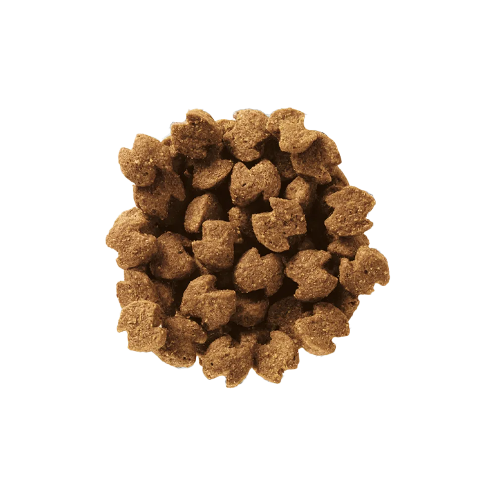 Imagen real de croquetas color marrón del alimento Eukanuba Premium Performance.