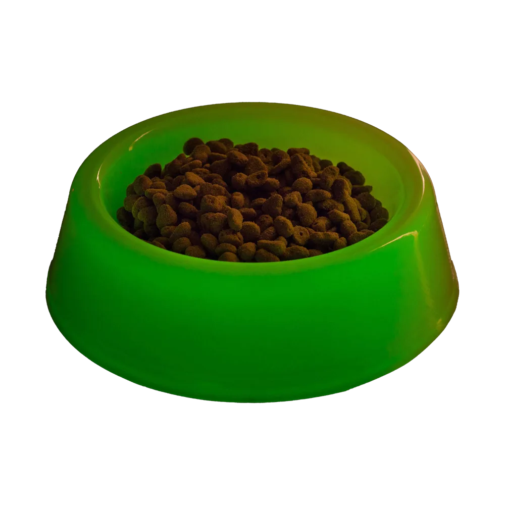 Imagen de Comedero Premium Fluorecente resplandeciendo en la oscuridad para perros grandes 