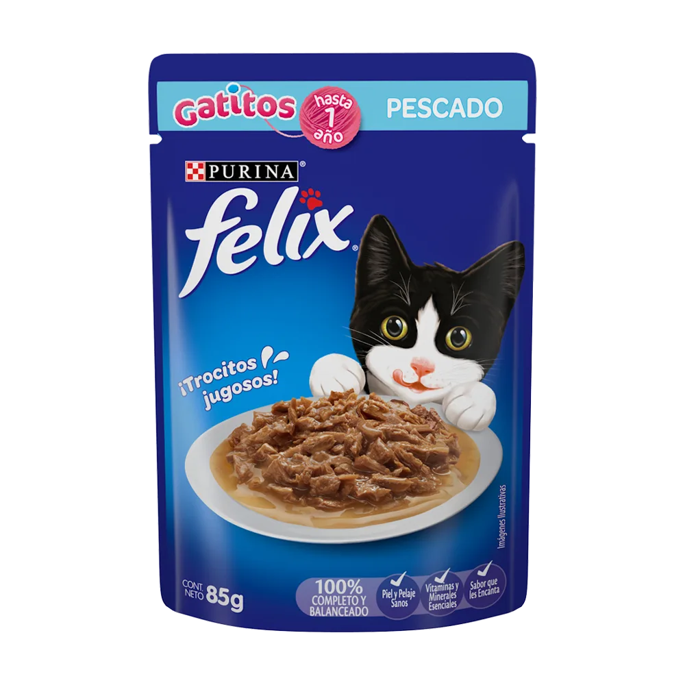 Sobre azul con detalles celestes y un plato de comida con un gato negro y blanco de alimento húmedo Felix Gatitos Pescado para gatitos cachorros 