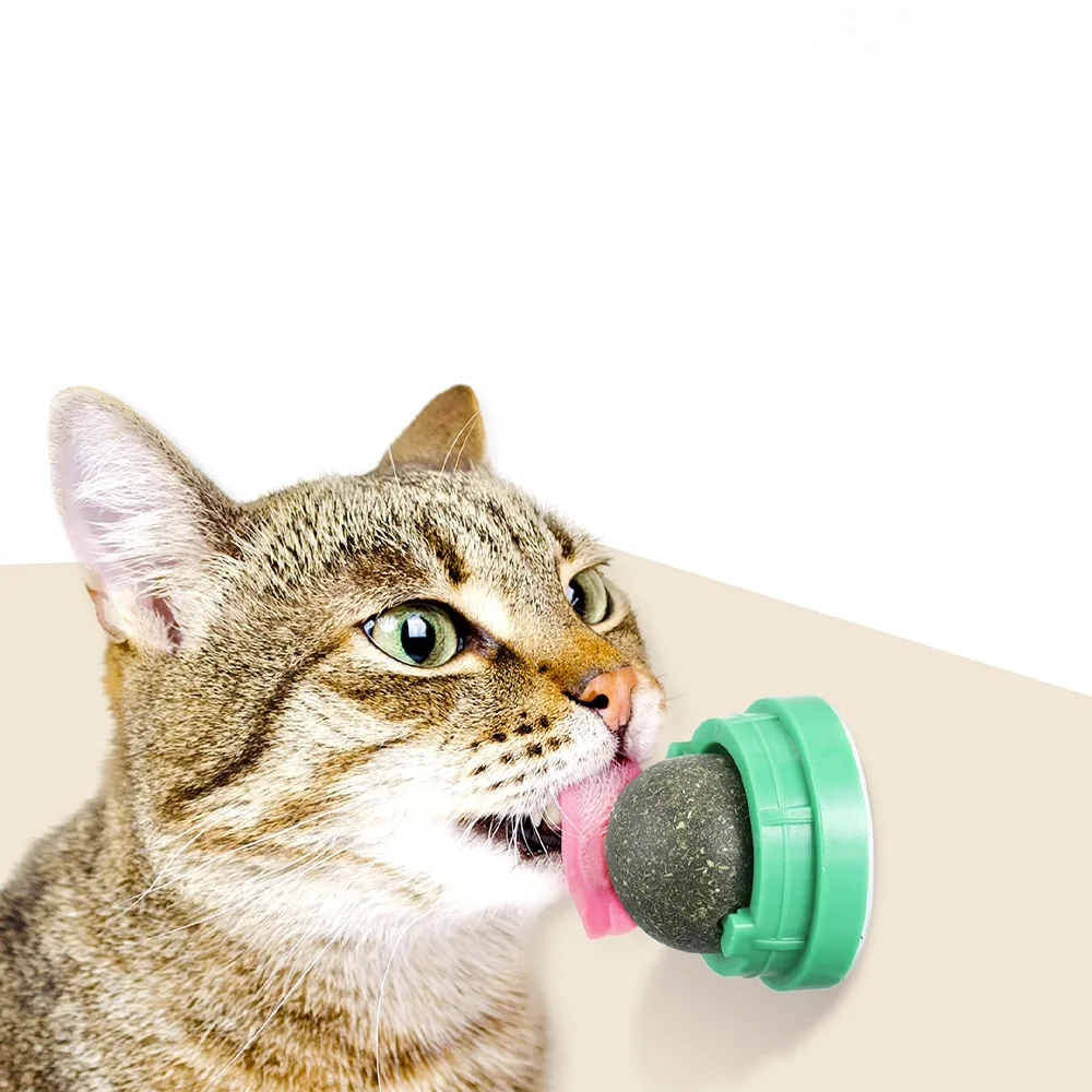 Imagen de gato atigrado lamiendo la bolita de yerba gatera sólida