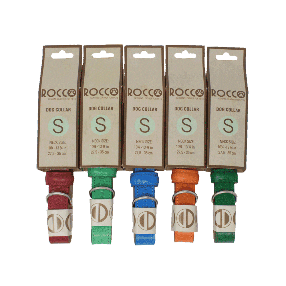 Juego de collares Rocco para perro color rojo, verde primavera, naranja, verde y azul cielo