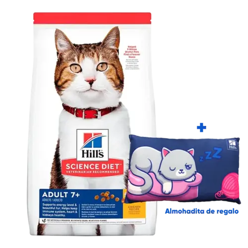 Bolsa de alimento para gatos Hill's Science Diet Feline Adult 7+ Chicken Recipe, es un alimento para gatos adultos a partir de los 7 años en adelante, la bolsa es blanca con detalles naranja y azul oscuro, tiene una franja roja en la parte superior de la bolsa y en medio de la bolsa tiene un gato blanco con rayas tabby en la cara y el lomo con tonos marrón claro y naranja