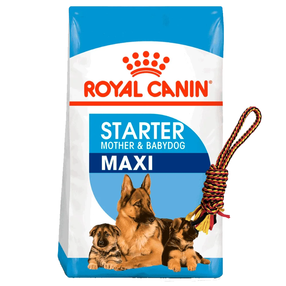 Bolsa celeste con blanco de Royal Canin Maxi Starter Mother & Babydog para cachorros de raza grande