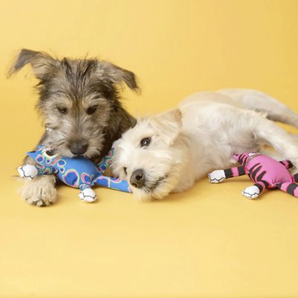 Imagen de perros con Peluche Mini Terrible Nasty Scaries Fat Cat color rosa y azul