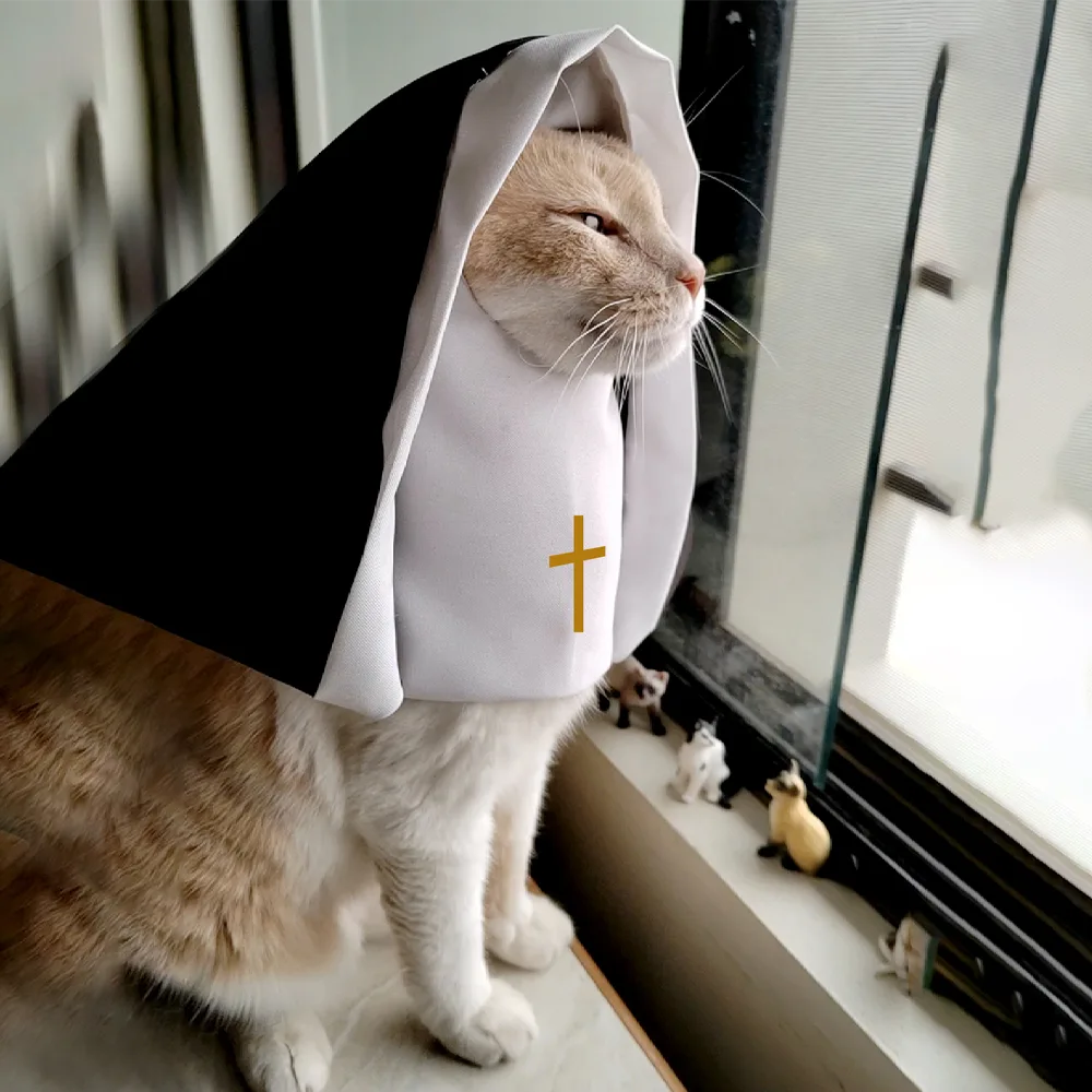 Gato vistiendo el disfraz de monja de la Catbox de Catllejera. Es un gato naranja con un hábito de monja color negro con blanco.