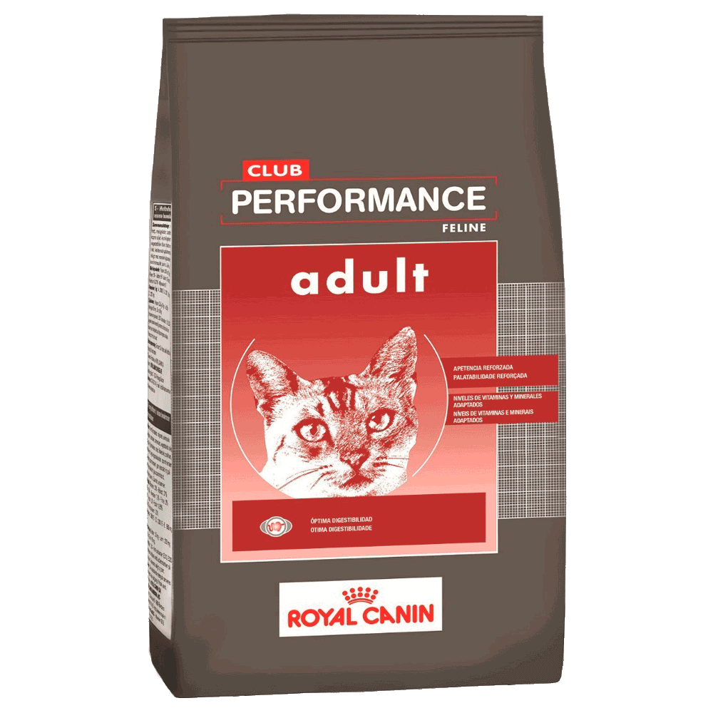 Bolsa marron con rojo de alimento para gato Royal Canin Performance Club Cat Adult para gatos adultos